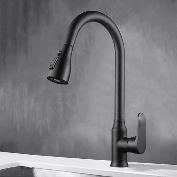 Torneira cozinha DuoFlex Preto