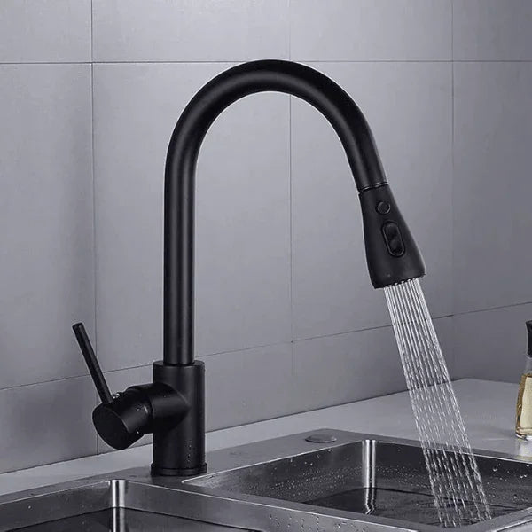 Torneira cozinha DuoFlex Preto