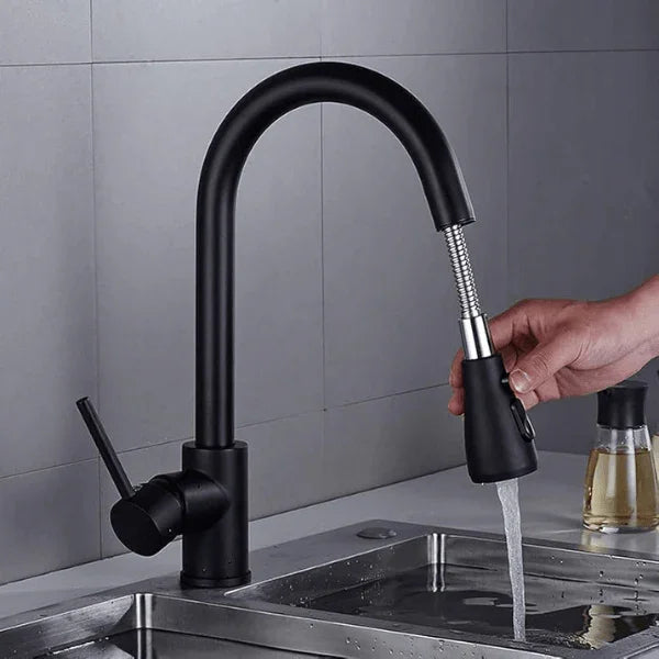 Torneira cozinha DuoFlex Preto
